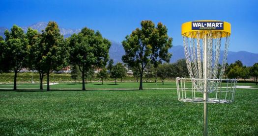 walmart-disc-catcher