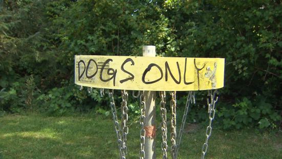 Dogs only
