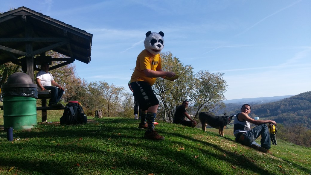 Disc golf panda